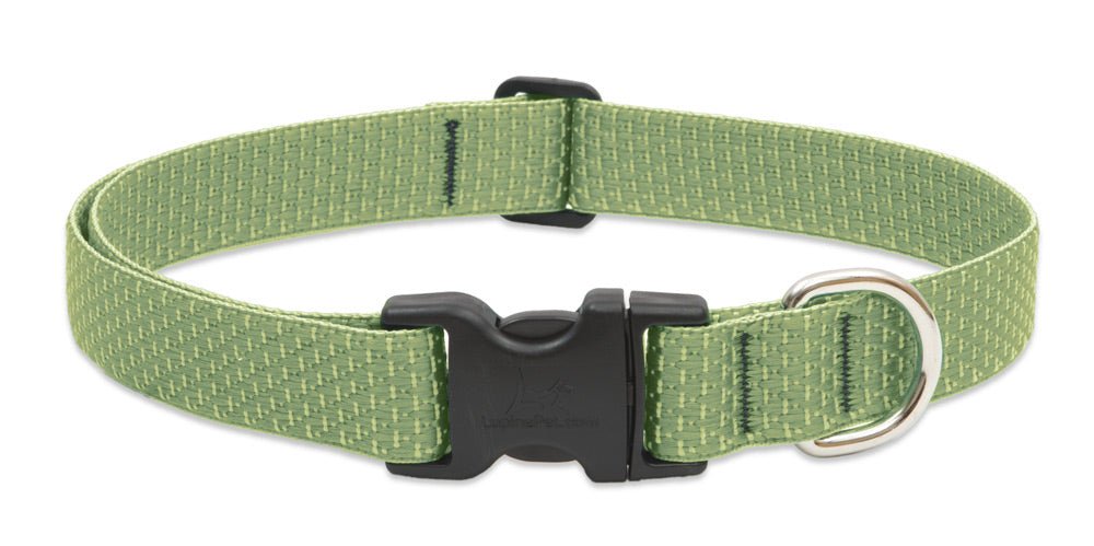Lupine ECO Collars - SnowPaw Store - Lupine - Dog Collars, Leads, Belts